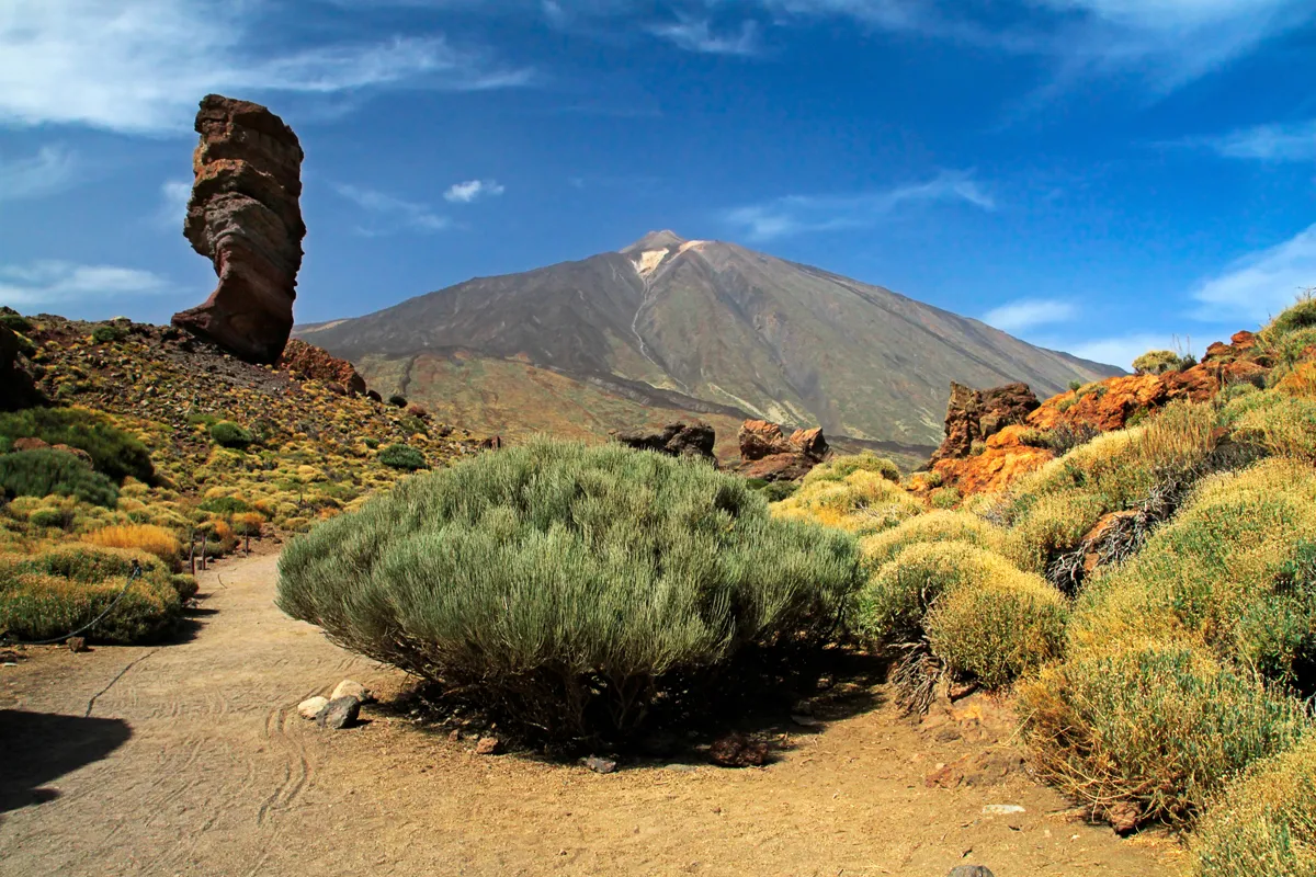 Parque Nacional del Teide, Tenerife